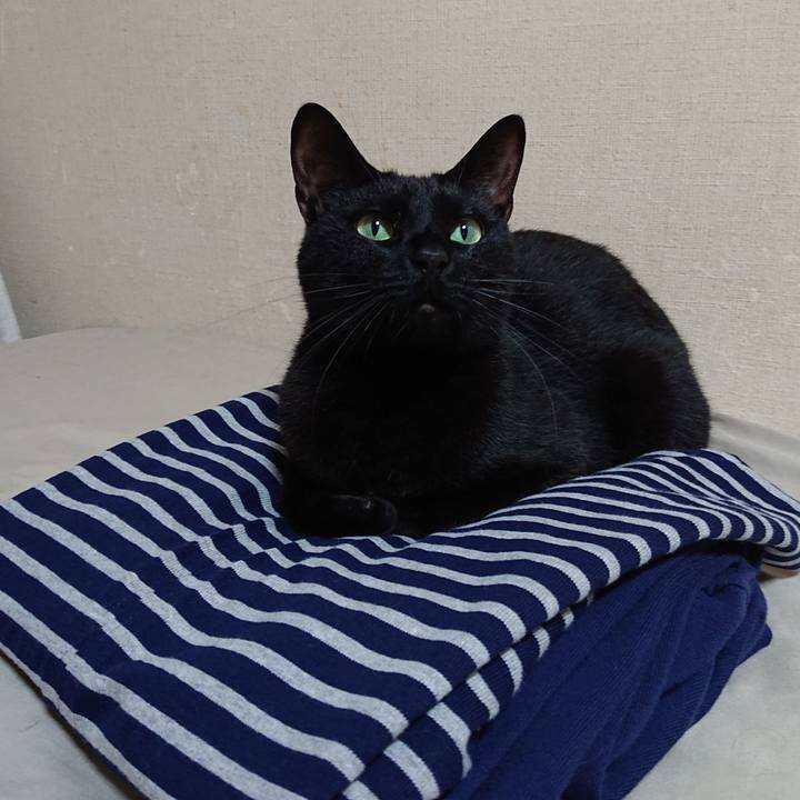 A268bf64 6a5a 468a 986f 190dbe0d397f 1685457550439