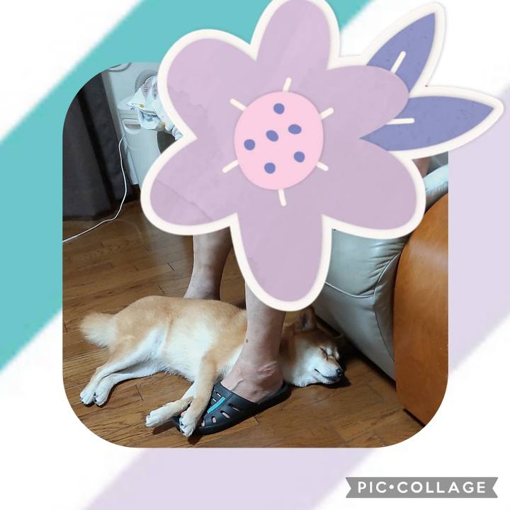 A268f0ee 37ef 4a65 bf74 789404f50b81 1720506572533