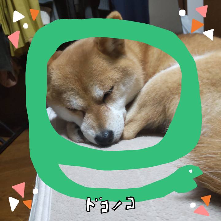 A2690061 050b 4039 b85e 811176ab87b5 1741606637520