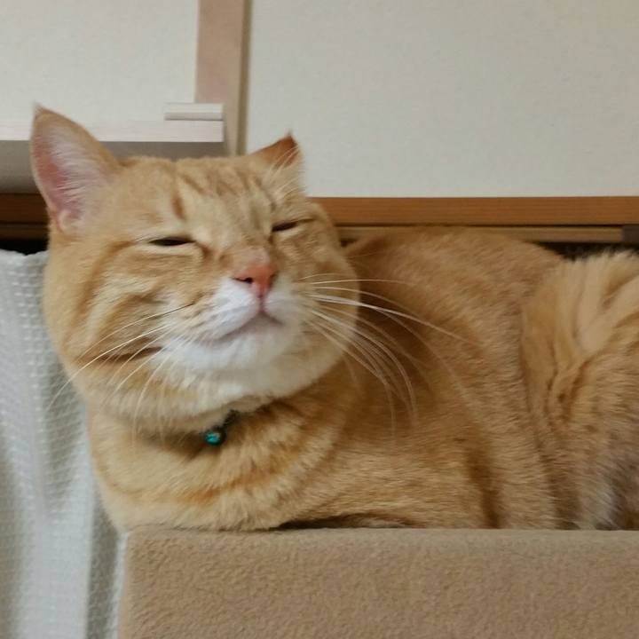 A26910c7 84f2 4721 905d 8ded0c38f2da 1517826901036