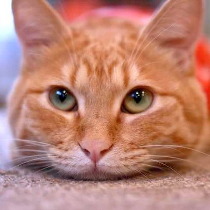 A26a1af5 9e75 40ab b86e 1da8b829cee3 1727601679603