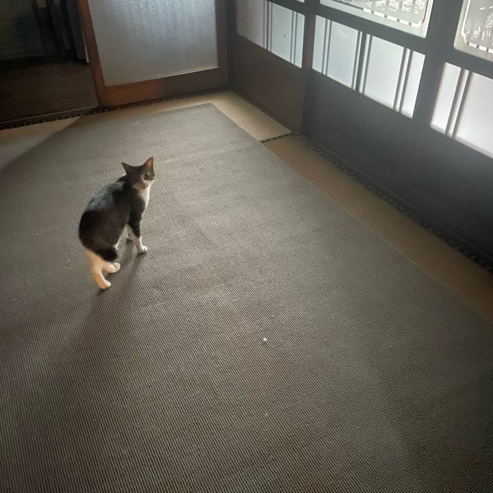 A26a4530 f25f 46a9 9930 a55c4c7d8b0b 1747497407372