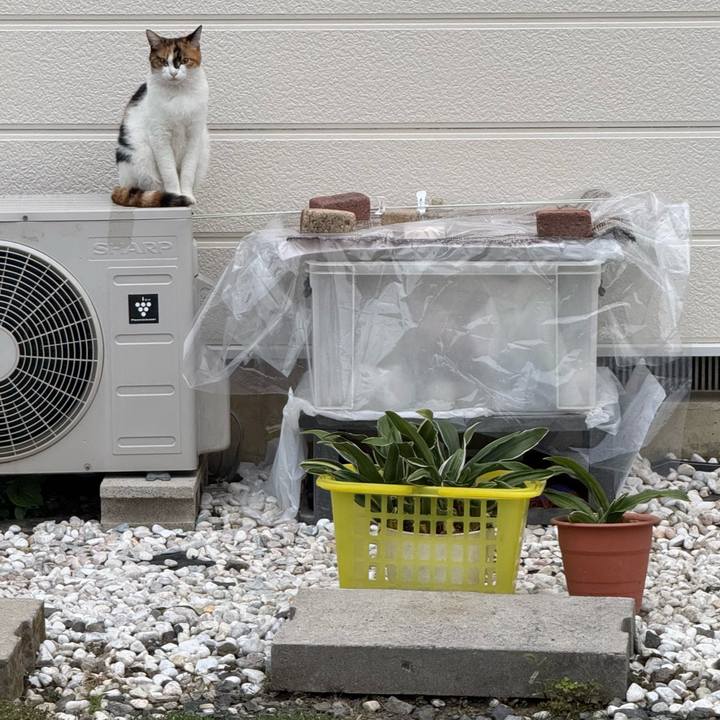 A26a6bf9 a7d5 482e b194 fe83971dfcdc 1759976453993