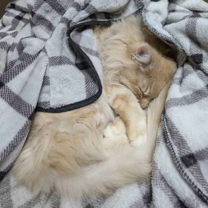 A26a794a 33e6 45e3 8104 948a2f618bed 1775315584874