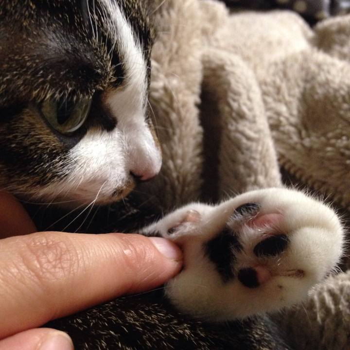 A26a7b85 573f 4fa3 81f8 2c125176298a 1512297497860