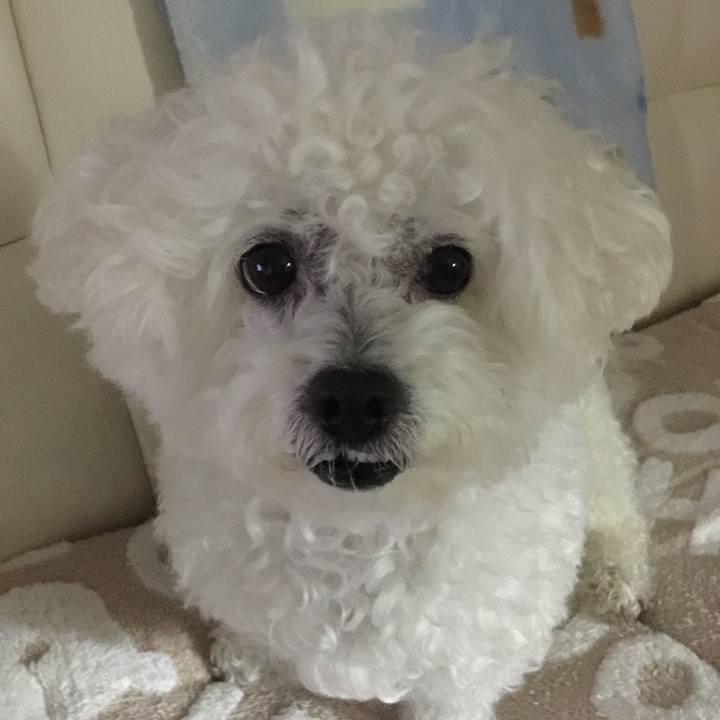 A26a7ff2 e99f 4f0a ac3b 95ec42537afa 1545392900077