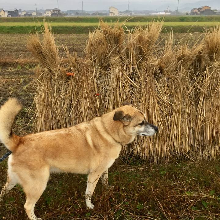 A26a9a6f e2e1 4aa6 8821 5ca28b2798e7 1573688713554