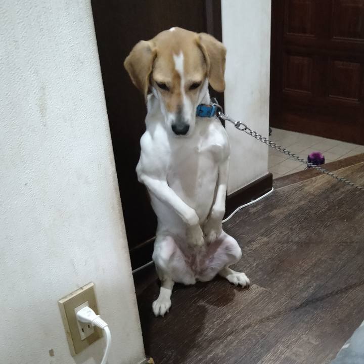 A26af8c1 9f79 4502 af23 1255ff0993e1 1617363604771