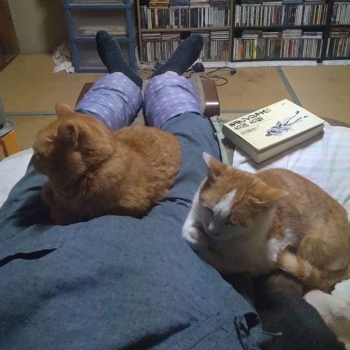 A26b0163 7bad 4ccd a4ed ef00cb64713e 1741168193585