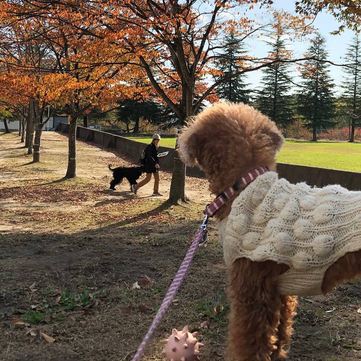 A26b3fc6 1d69 4b32 8a8c 651a813ca989 1573007859062