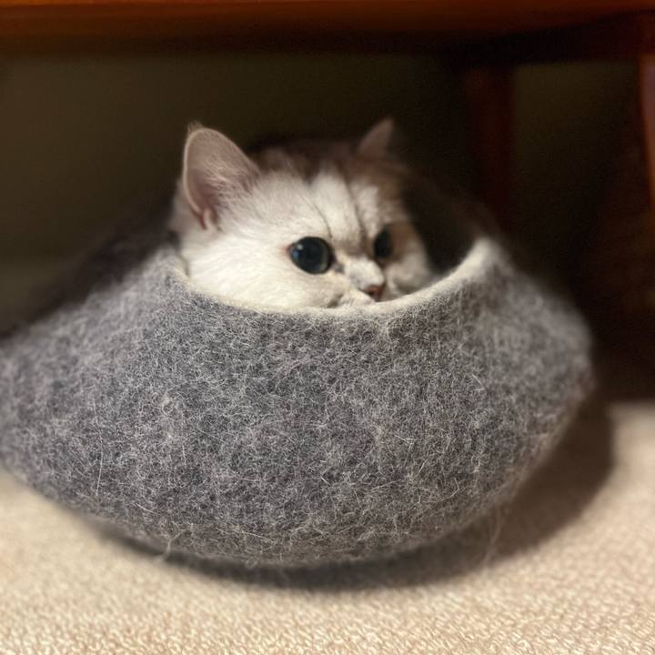 A26b5e9a a8a9 43db 8f60 35d8bc2890b8 1634515004536