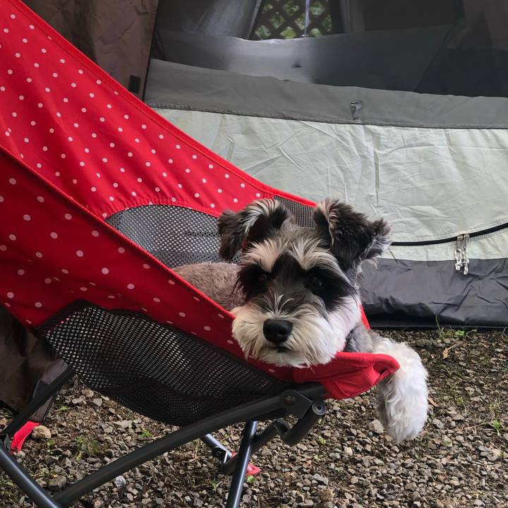 A26b6602 8d2d 4069 8e22 4014899930ab 1626505843563