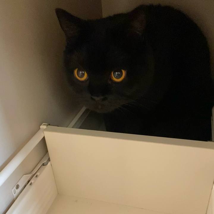 A26b69e2 c4f4 4eb0 a7b8 c2c75765326f 1629498433298