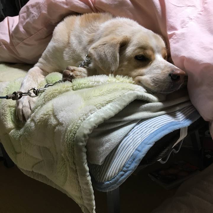 A26b6d8e a42c 4668 8c95 26081b2d0199 1514722480151