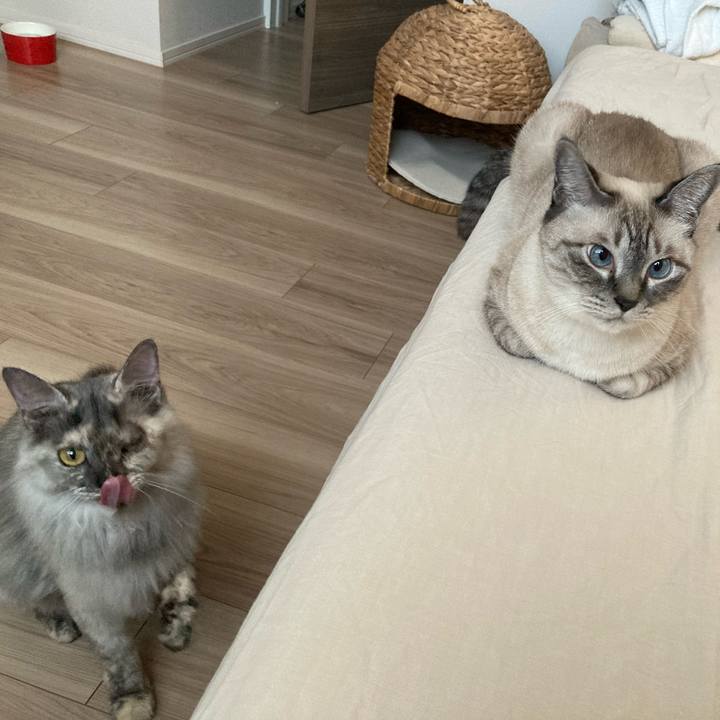 A26b8e37 24a8 44cc a235 f92ac000c847 1723885634866