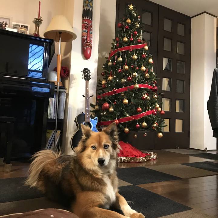 A26bba7c 6dc1 4c61 b5ab b2926aecee4d 1513755099388