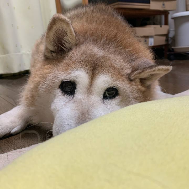 A26bc6a2 7e78 4c5d ba69 1e0ef9d593c5 1622807563745