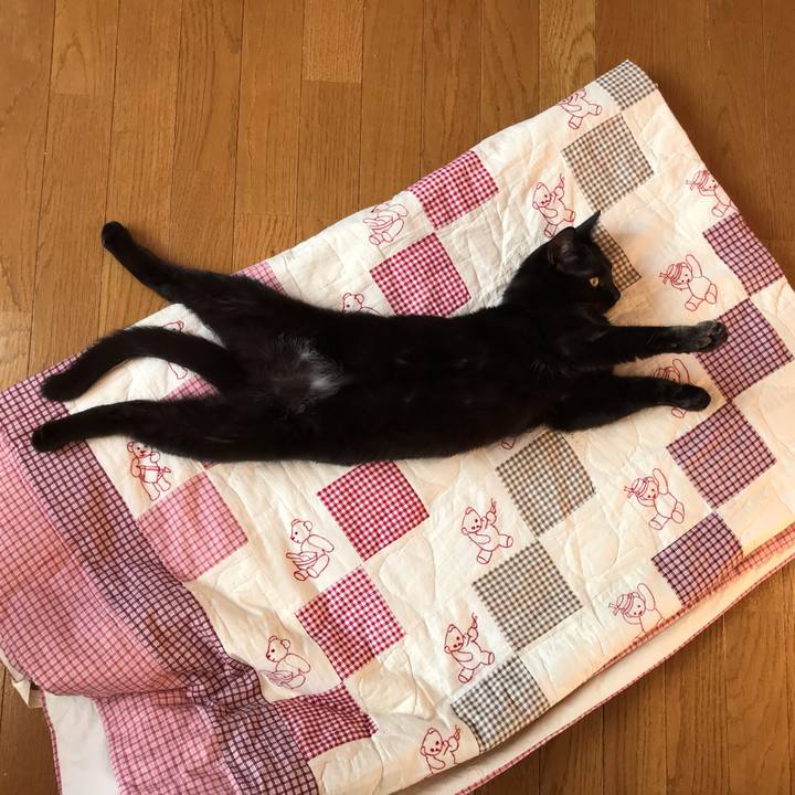 A26bee2d fd25 467d 81d9 8e82568f72c9 1578130661913