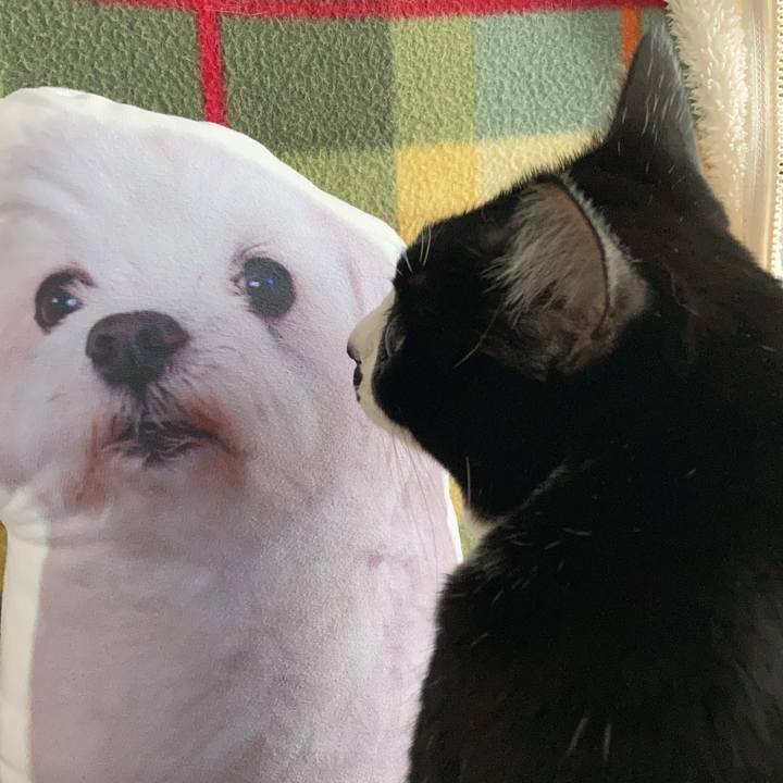 A26bf9ab fbe5 4a5c 93e4 7fb21ef24542 1732331539841