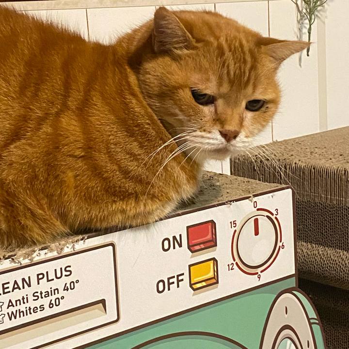 A26c0ffb 82b3 414f 8bba 9e90e0033c2b 1699698674406