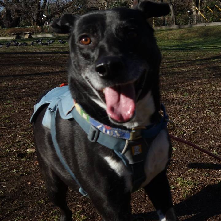 A26c1020 1e81 4d5b 8c66 a233d20dd786 1709947109126