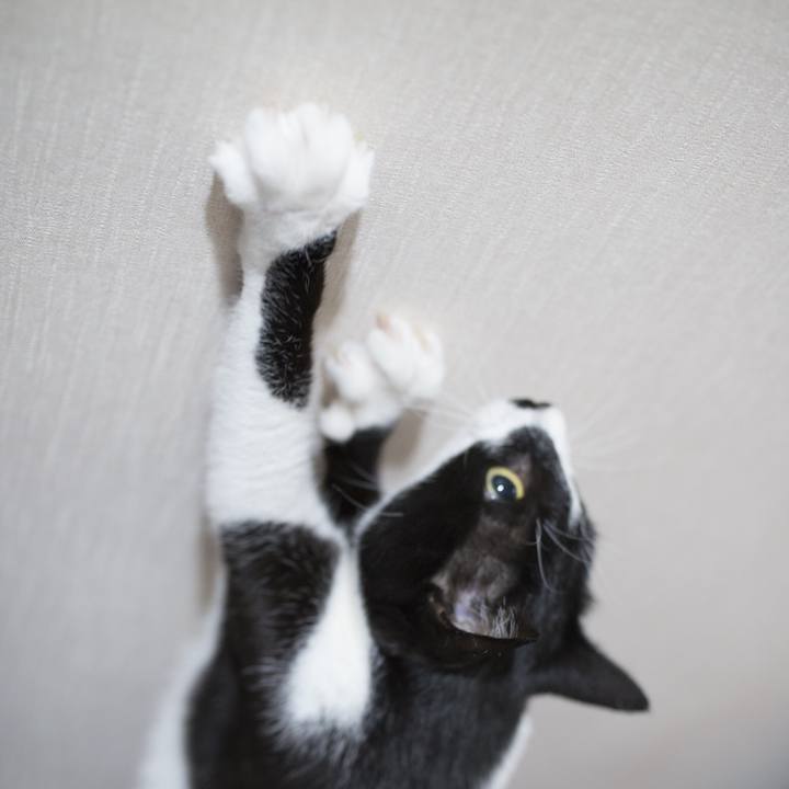 A26c1300 345d 40c1 8f04 ec158f8aa5cc 1527568072925