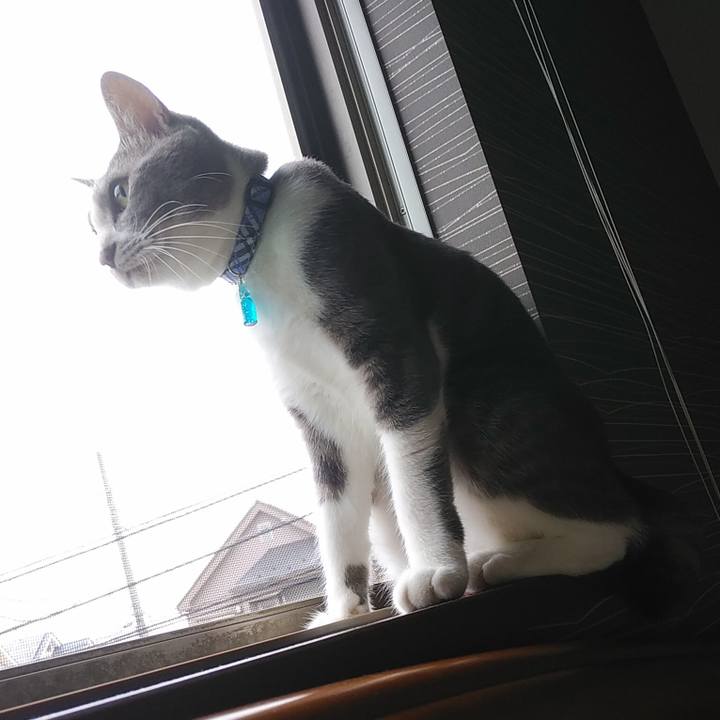 A26c4d80 6750 4a93 b4bc ce504963e2da 1595282071658