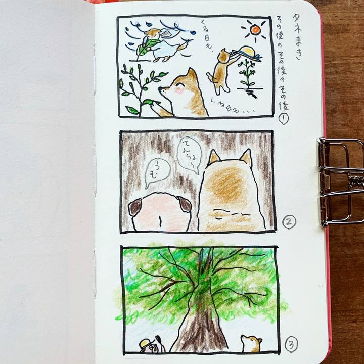 A26c86c3 b12e 4379 a713 276bcbb8ffc0 1692489418200