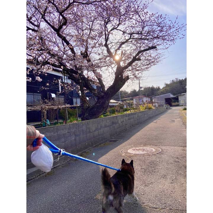 A26ca7a8 3342 4f0b b377 e8f0364f72c6 1712874569265