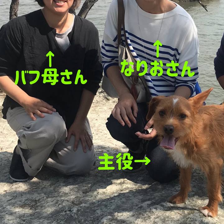 A26cdf2a d47e 45d9 ba5b e47bf3f3bd47 1561331641146