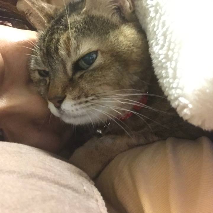 A26d01cd 3d30 4453 aaea 7dc1f56498d8 1544830154464