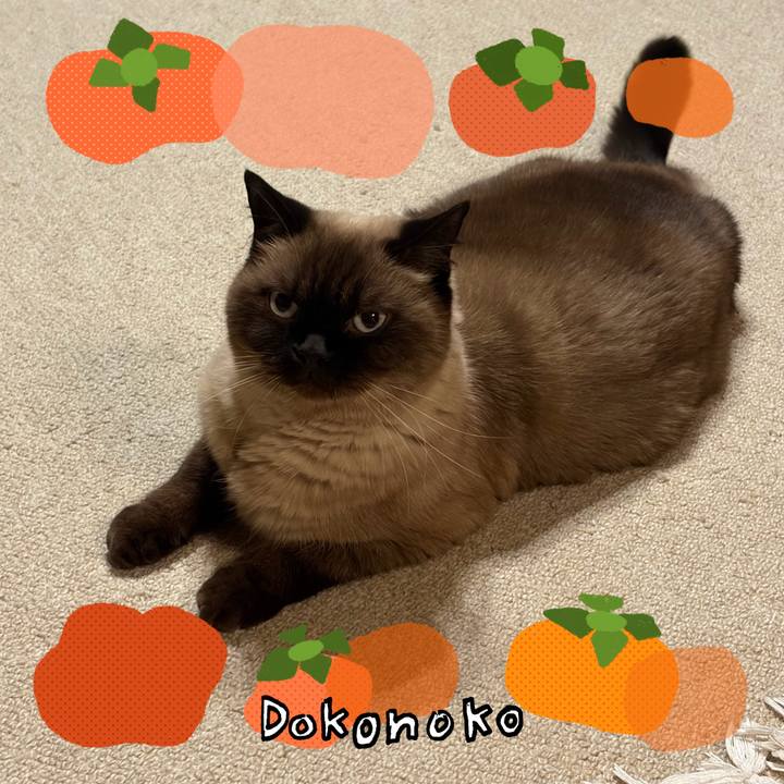 A26d2c71 3fcf 4e2a ae94 20a8d5fc171c 1761986849129