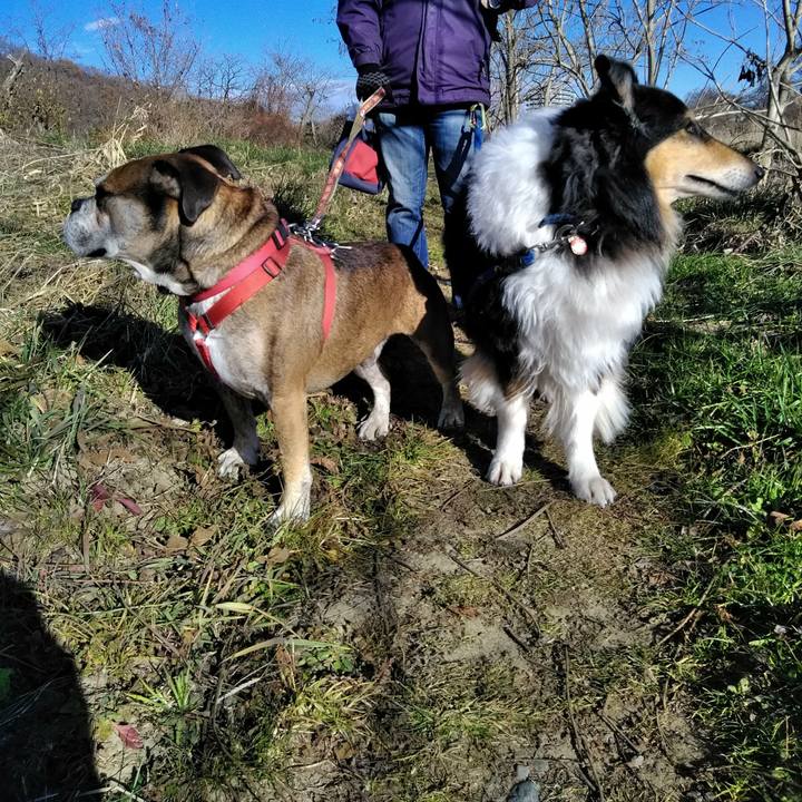 A26d6c51 6e66 46a3 a204 fd05cf27de01 1513506426446