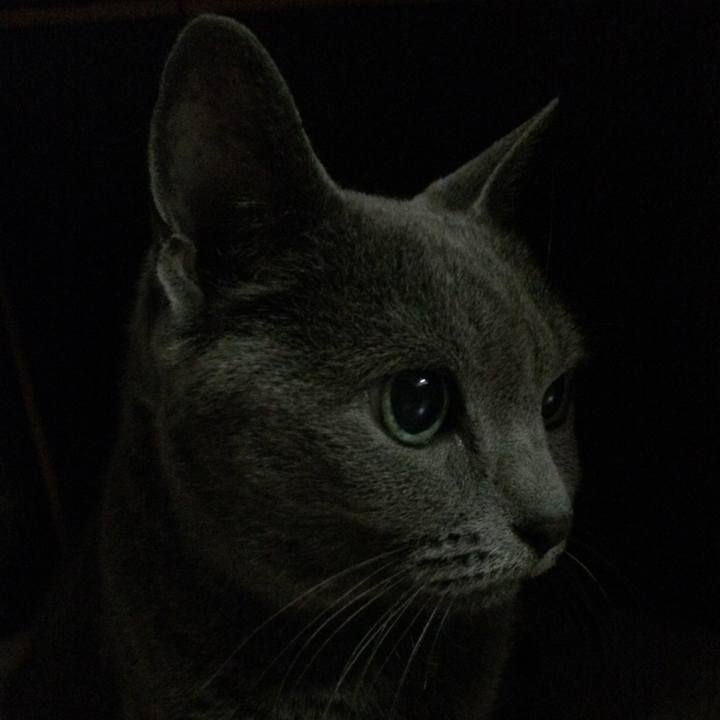 A26d8194 ba0e 481c 939b 15f3573aae6c 1545258997099