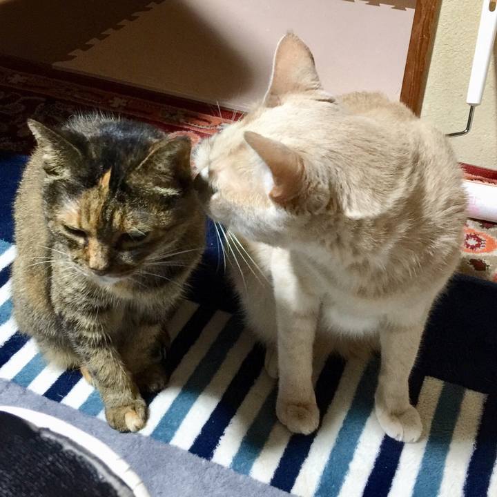 A26db250 1640 4e59 87b5 a2ffd9c573d4 1538378273830