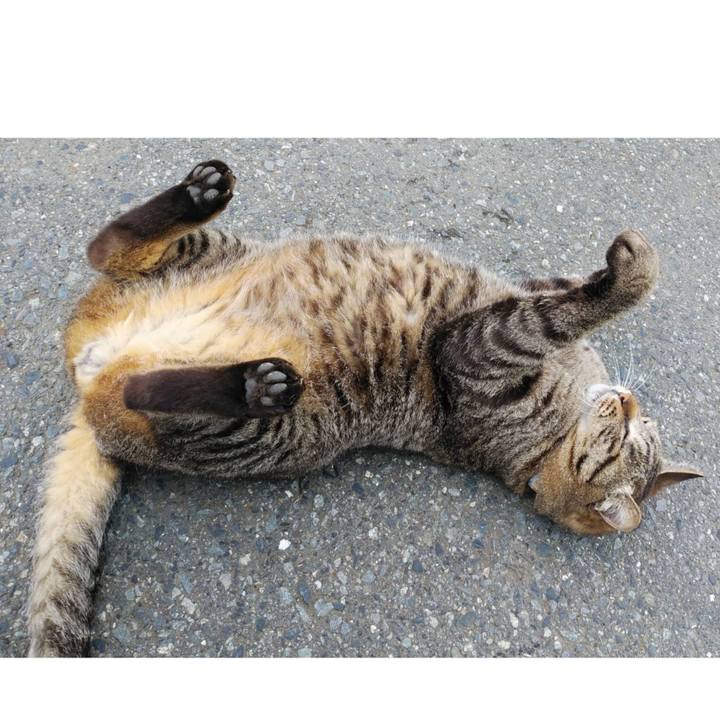 A26db4f7 c31c 4e83 a602 441a3783aa67 1590104768411