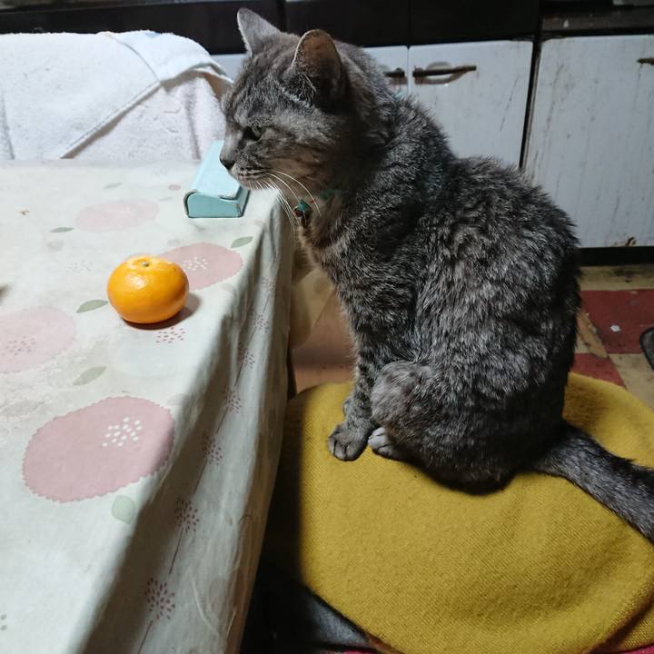 A26dbfe6 9a03 441d a088 886538e99d0e 1573422671002