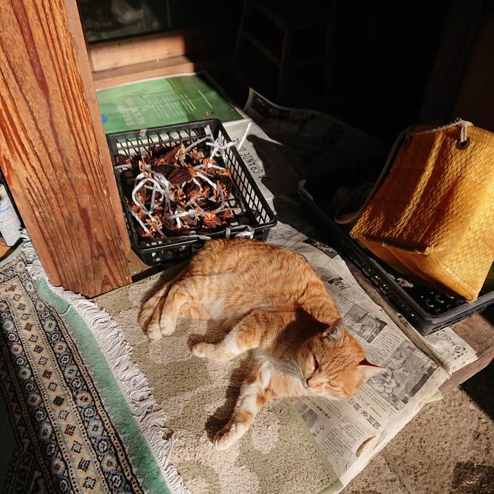 A26dcd6a 2f68 4d72 a533 ffd4c33f157a 1577845256216