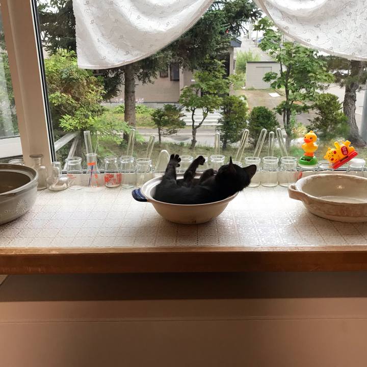 A26de056 f916 4002 8c73 65266b11173b 1564647269200