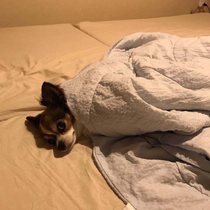 A26de1cd 781b 4482 9b21 8e6d22e72993 1562936712893