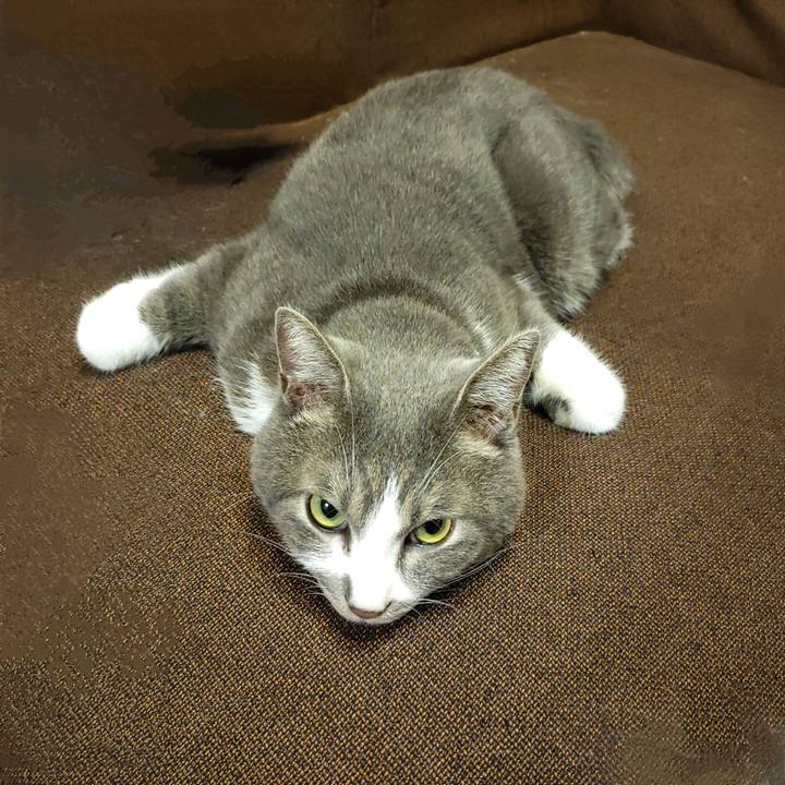 A26df25f 61ed 4b6e b796 1d25cd171a44 1722949402943