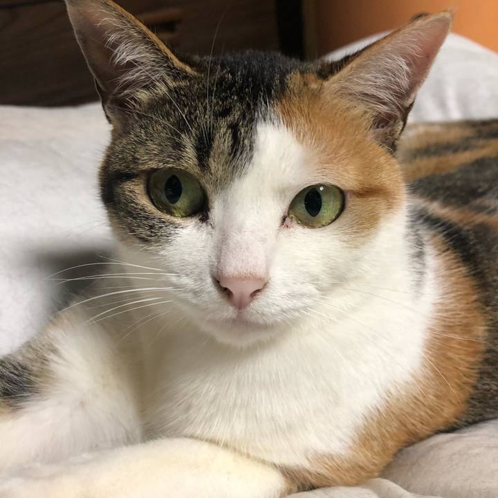 A26df294 d5fa 4f8a 84b7 d8c7fae1ec0b 1588600463466