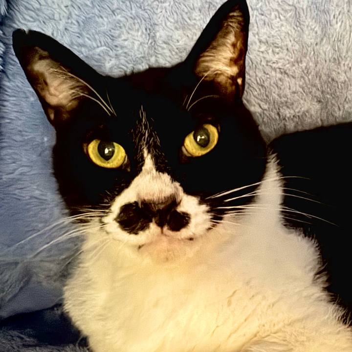 A26e06aa 108d 4e0e 953b c22a6fa6cbb8 1745466067529