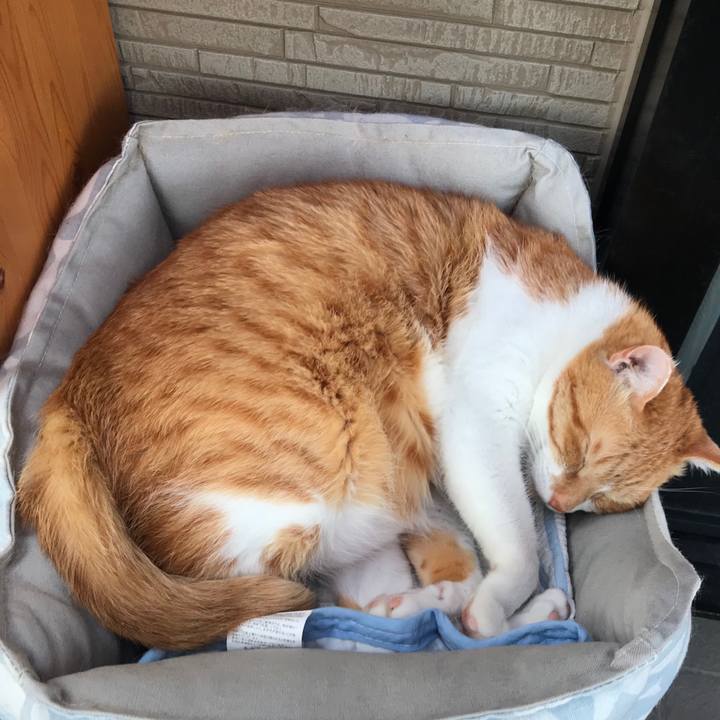 A26e09ed 9f18 4edd 91f4 6b2dec1a5a9f 1555367611213