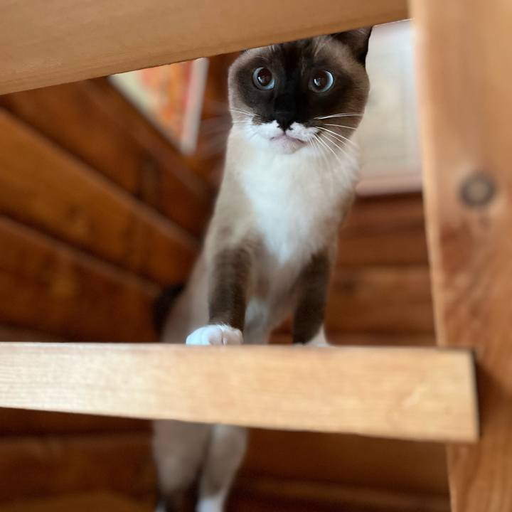 A26e0ace 152b 46f0 be74 a06dd3647a39 1731280792550