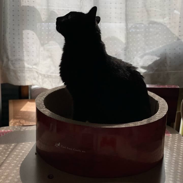 A26e1ad7 8bdb 4c78 b95b 25728cc22a1f 1653791232110