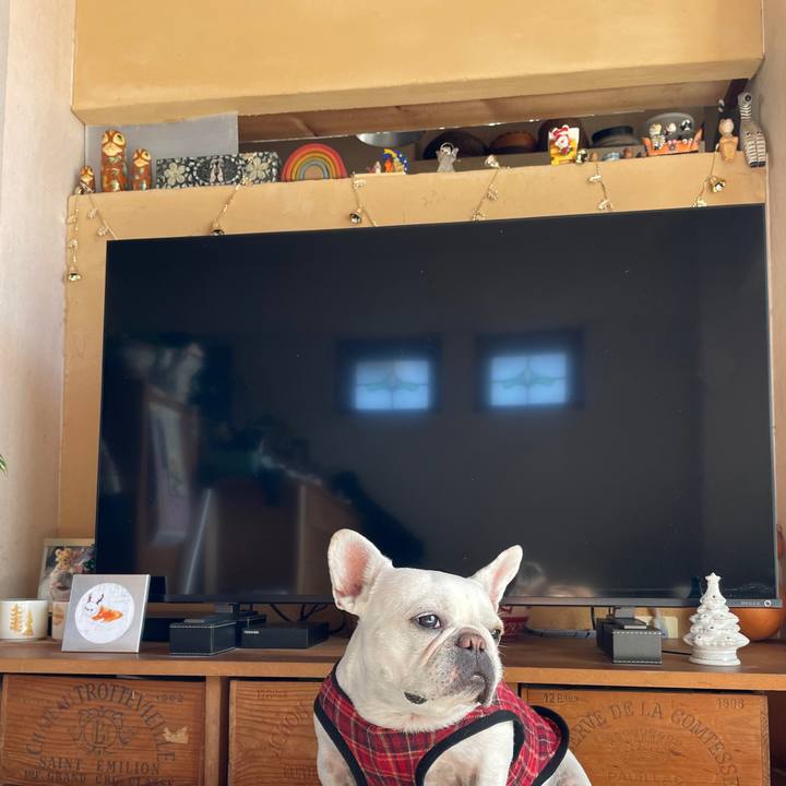 A26e653d 4860 4202 8931 73f8c51c565e 1733527342338