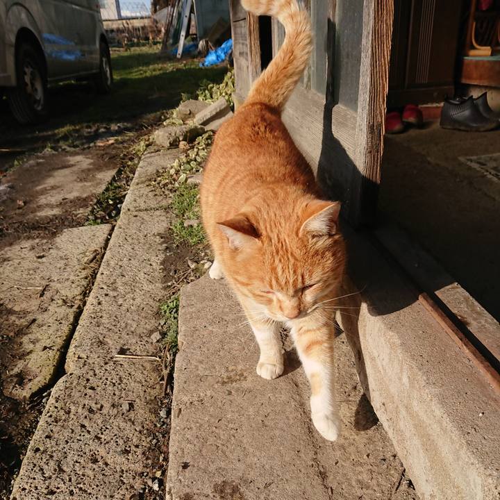 A26e7d31 c790 4dd7 8486 02a692a60512 1579997740826