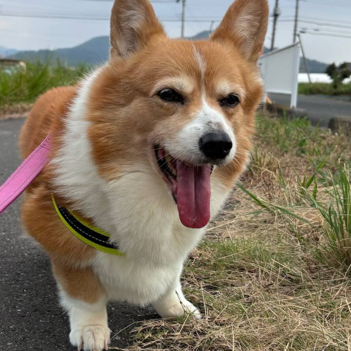 A26e87fa 26dc 4f30 aa63 ad0b420b1236 1756679009003