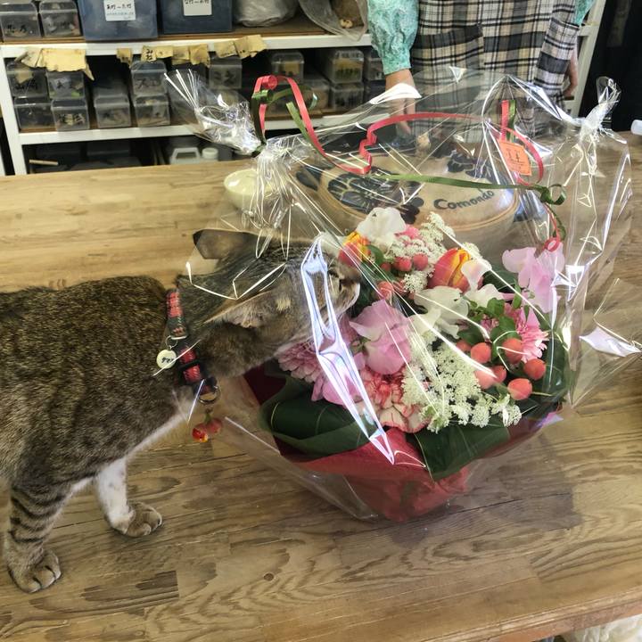 A26e9879 7148 42c0 9acf 9f821ddd43c3 1614759986724